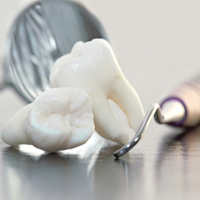 Two wisdom teeth sitting next to a dental mirror and pick