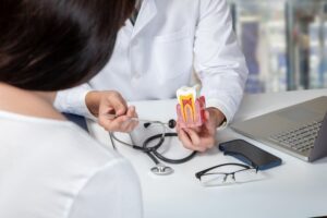 Dentist demonstrating root canal with tooth model.